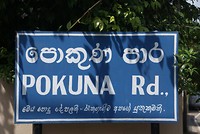 DSC07167