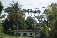 DSC07181