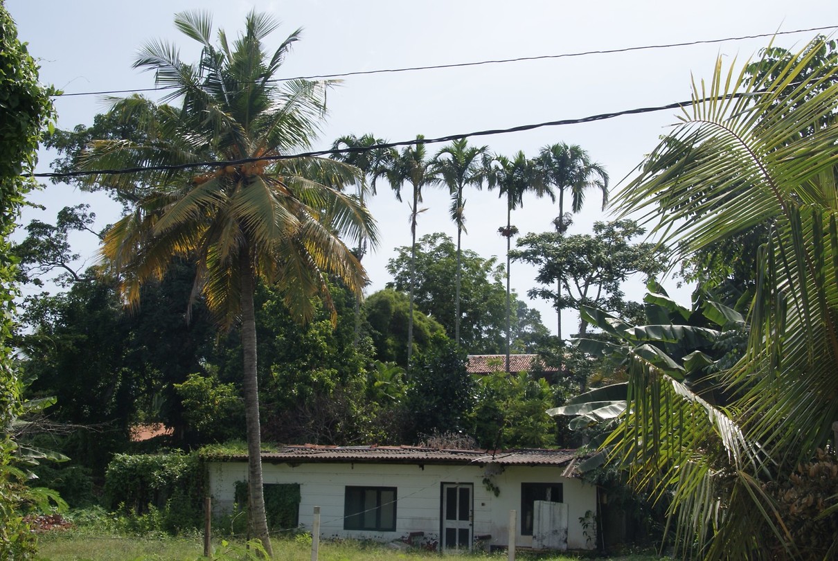 DSC07181