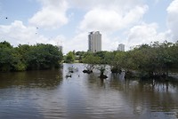 DSC07219
