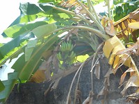 DSCN1156