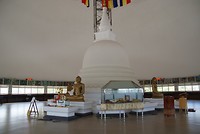 DSC07230