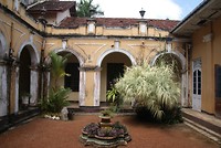 DSC07234
