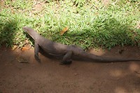 DSC07274