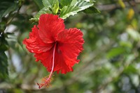 DSC07292