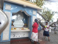 DSCN1291