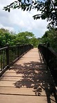 20190728_113436