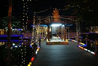 DSC07314