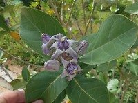 DSCN1410