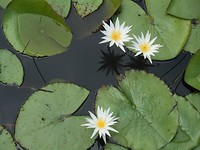 DSCN1431