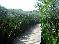 DSCN1438