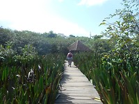 DSCN1442