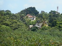 DSCN1453