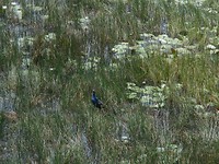 DSCN1455