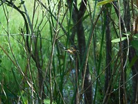 DSCN1459