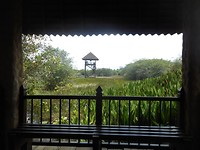 DSCN1485