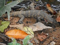 DSCN1486