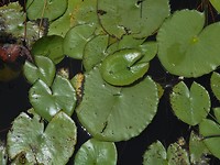 DSCN1505