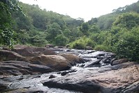 DSC07344