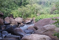 DSC07359