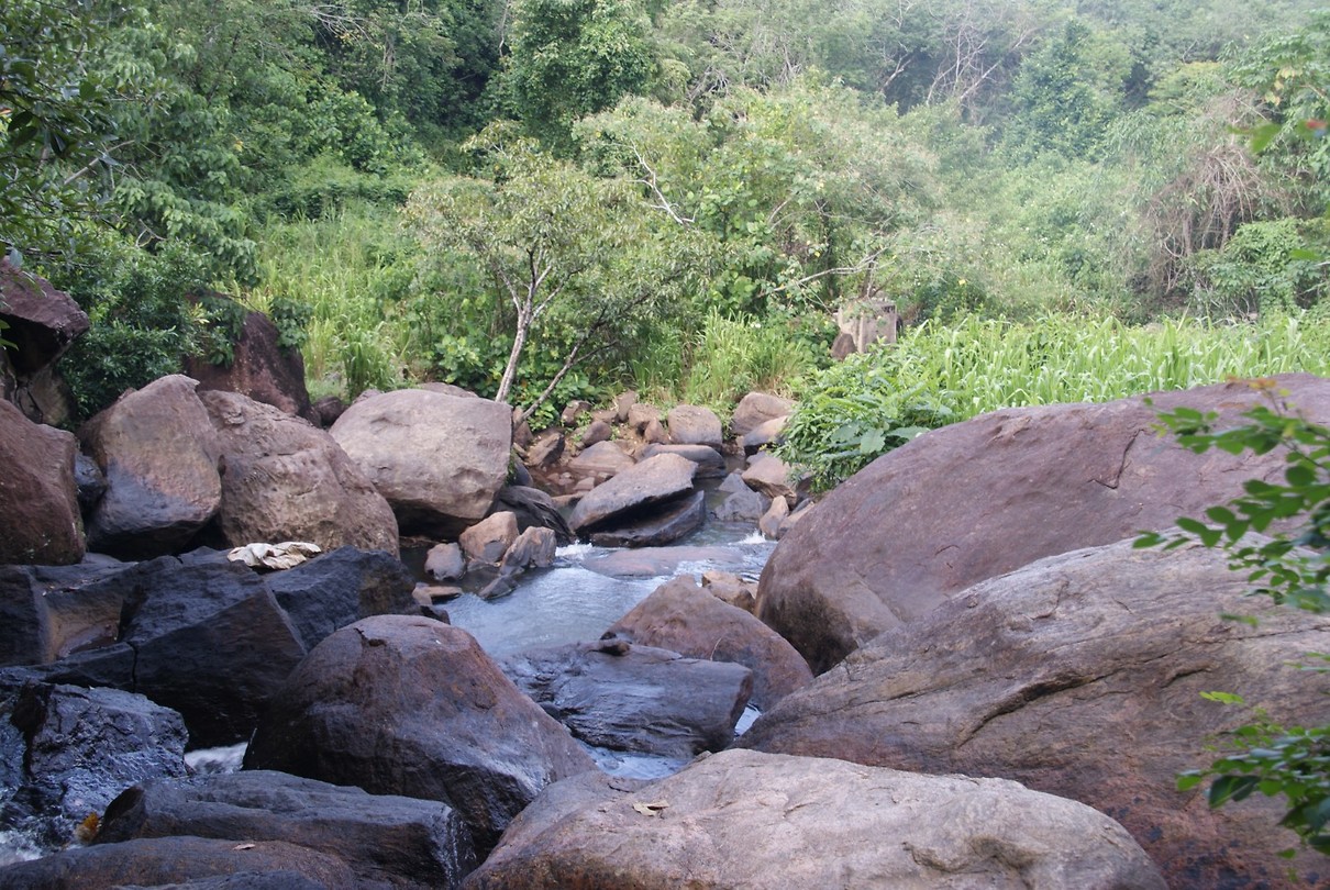 DSC07359