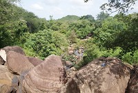 DSC07367