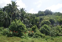 DSC07396