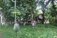 DSC07397