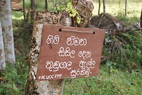 DSC07409