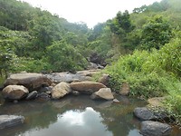 DSCN1528