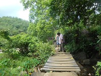 DSCN1529