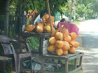 DSCN1552