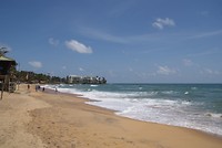 DSC07437