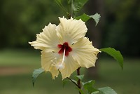 DSC07587