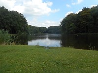 DSCN2209