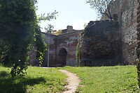 DSC07945