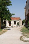 DSC07953