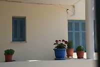 DSC07985