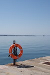 DSC08019