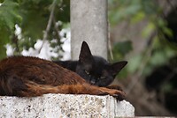 DSC08073