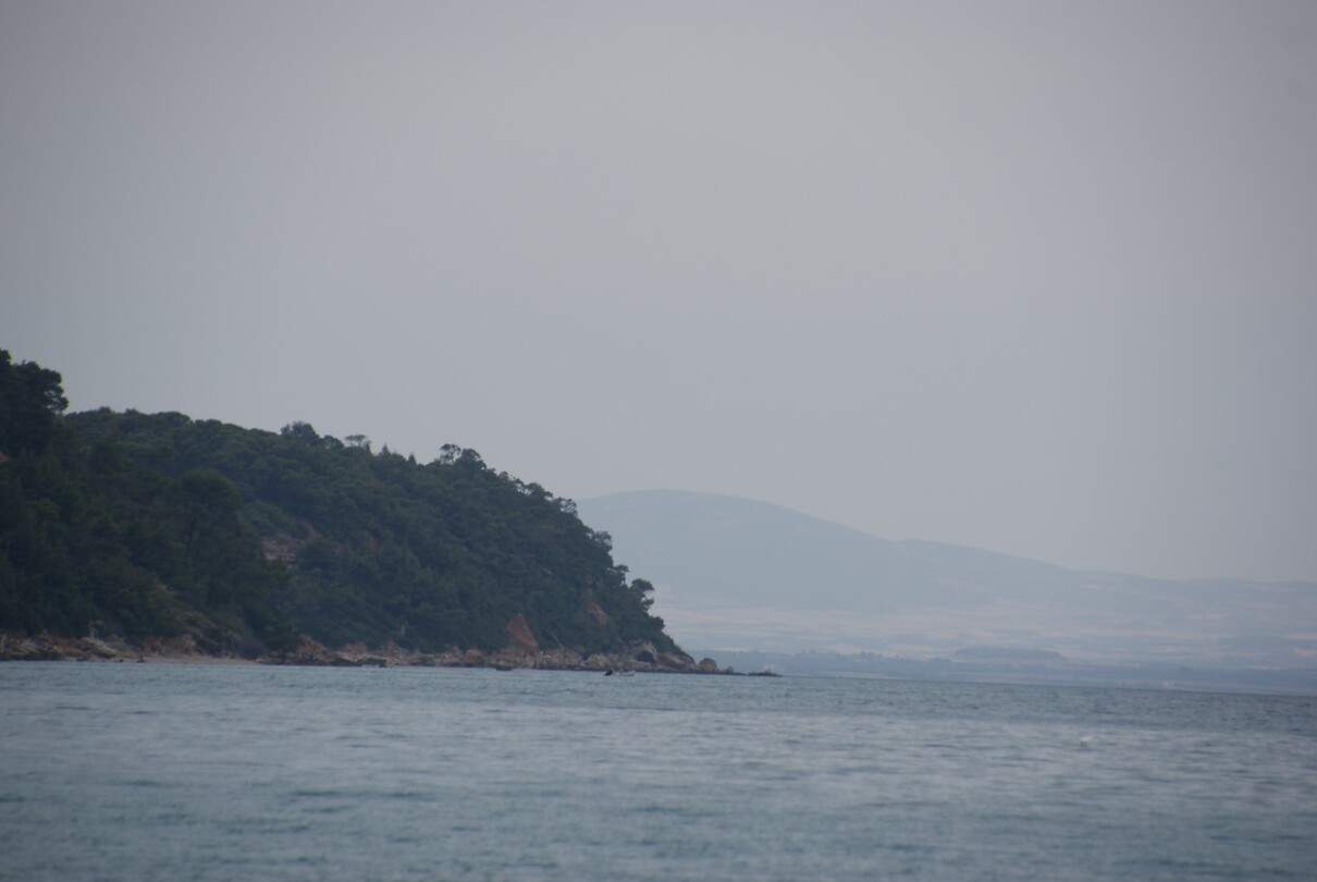 DSC08116