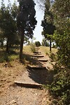DSC08212