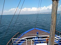 IMG_20200719_141034821