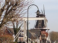 IMG_20210220_115400647