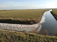 IMG_20210220_103448367