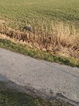 IMG_20210220_093611059