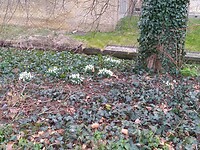 IMG_20210221_092406702