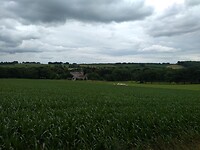 IMG_20210712_151501934