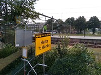 IMG_20210712_102416888_HDR