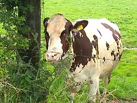 IMG_20210713_141030933
